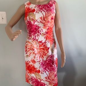 Size 6 dress
